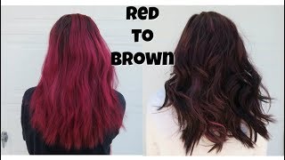How to get RID of RED HAIR | ColorOops | Alyssa Nicole |
