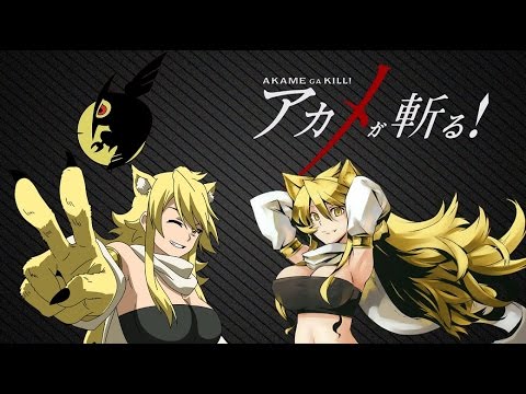 Unboxing ~ Akame ga Kil Vol.3 Limited Edition  ~ Anime DVD (German)