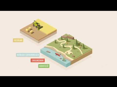 Kapitel 1/4: «Was sind Gebiete ausserhalb der Bauzone?»