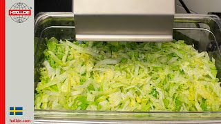 Lettuce: Slicer 10 mm