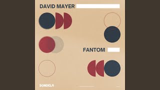 David Mayer - Don't Need Your Love video