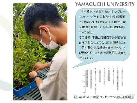 【山口大学OC2025／農学部／生物資源環境科学科】12 果樹園芸学研究室