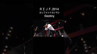 ＲＩＪＦ2014 #エレファントカシマシ #エレカシ #宮本浩次 #Destiny