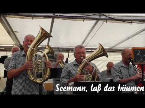 Bergmusikanten Waldfenster - Schondra 2013 (4)