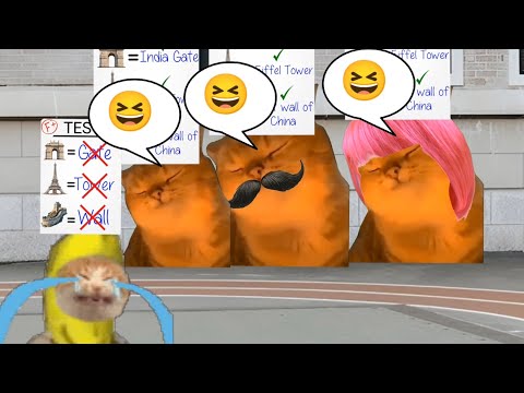 Baby Banana Cat School Videos 😺❤️ 2 Minutes Episode 83