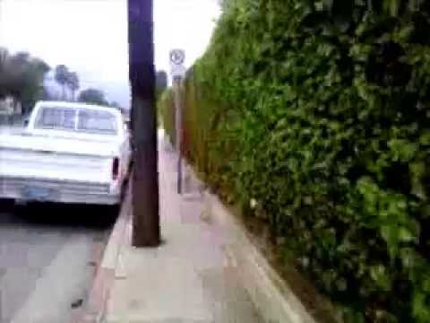 Walk in city of Glendale