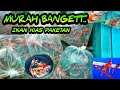 Pasar Ikan Hias Di Jawa Tengah