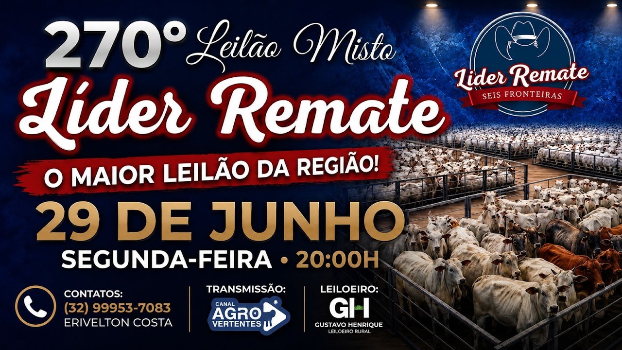 268º LEILÃO MISTO LÍDER REMATE - SÃO JOÃO DEL REI/MG - 29/06/2026