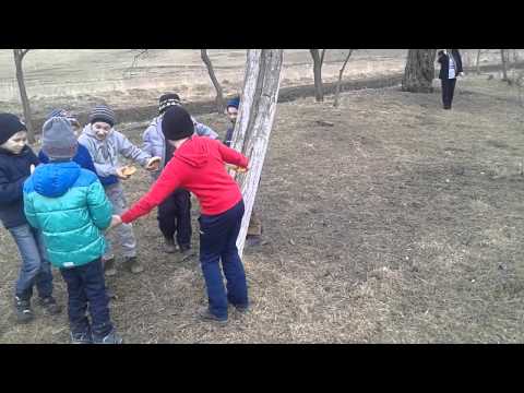 Alamor prinsul verilor 2015