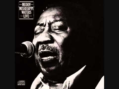 Muddy Waters   Johnny Winter Live Audio)   YouTube
