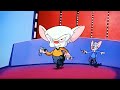 Animaniacs Pinky And The Brains Volume 2 DVD Trailer 2006