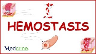 Hemostasis : (blood clotting process, clotting factors,regulation and anticoagulants
