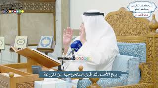 3056 - بيع الأسماك قبل استخراجها من المزرعة - عثمان الخميس