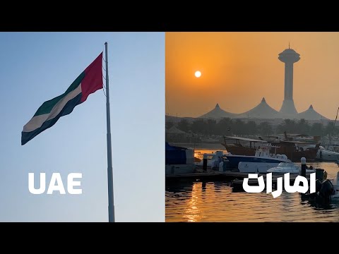 Dina Group Introduction