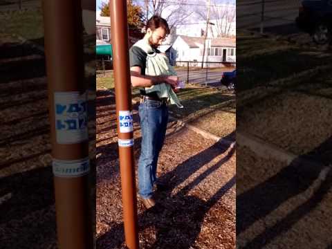 The Playground Papas - Re Del Fén - Misc…