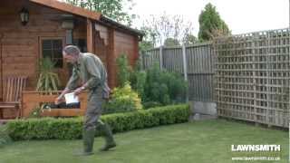 How to Over Seed a Lawn after Raking or Scarifying