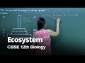 CBSE 11 12th Biology Ecosystem Theory Problem Solving In English Misostudy