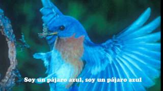 Bluebird-Paul McCartney(subtitulado)