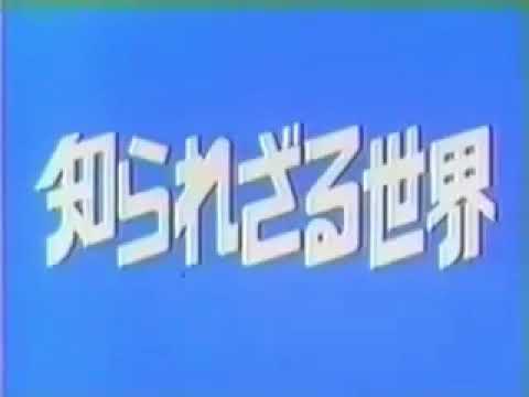 山本直純