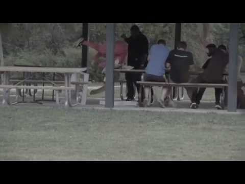 pink guy ruins picnic