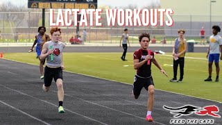 Lactate Workouts for the 400m - Feed the Cats Speed Training | Sprint the 400