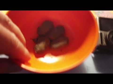 MongoTV_14100 - BILER - Del 32 - Historien Om Bilen