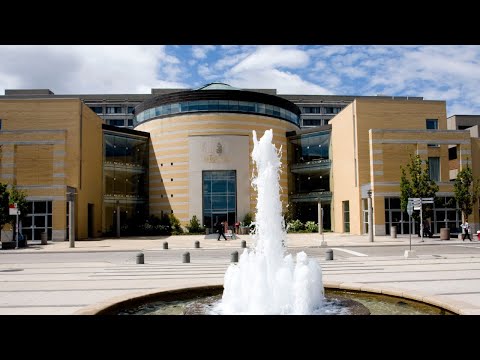 York U Virtual Town Hall