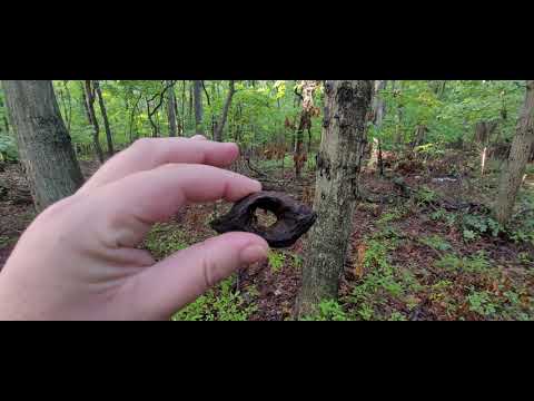 Xtra Bigfootage with Rob and LIB