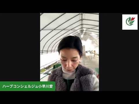 医療ビジネス薬科学科 ジェノヴェーゼドレッシングを美味しく作る秘訣