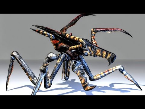XENOMORPH VS ARACHNID WARRIOR BUG
