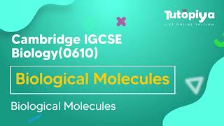 Biological Molecules