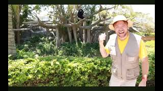 See the Monkey, Swinging Monkey EP13 M is for Monkey