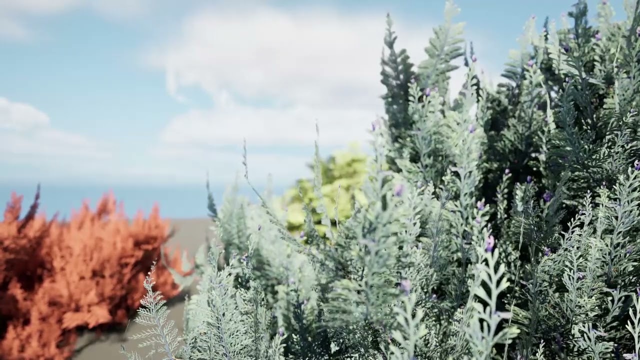 Juniperus horizontalis Bar Harbor 3D Model