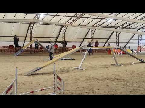 Kraft vizsga Tárnok 2022.04.03. A1 3.futam / hibátlan II.hely