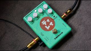 Video thumbnail for Teisco - Delay by Dennis Kayzer