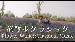 Download lagu 花散歩クラシック～Flower Walk＆Classical Music mp3