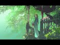 Gazes By The Window By 郭豐琳 筱筱雨沐 Cover 弦妖一一