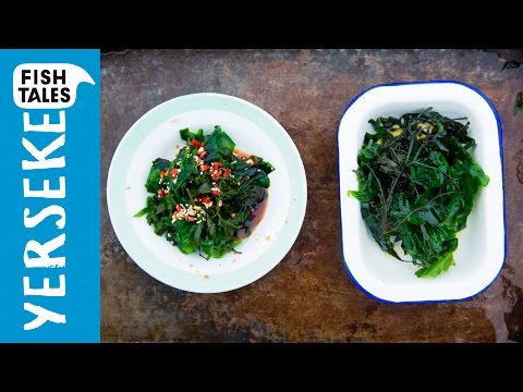 SEAWEED SALAD 2 Ways | How to harvest SEAWEED? | Bart's Fish Tales