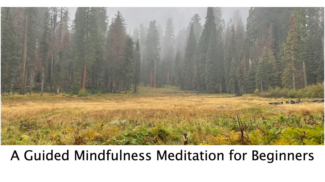 Mindfulness Meditation - A Guided Meditation for Beginners