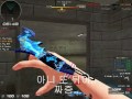 이 총 써보신분 ?