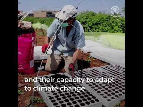 Climate change and the right to food