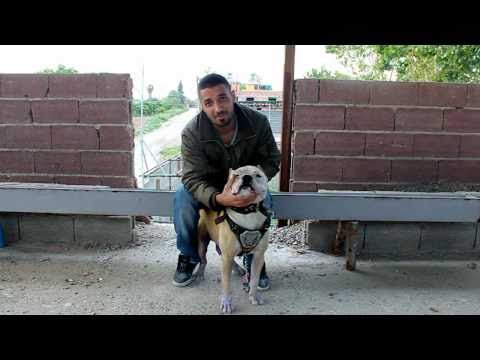 u.C.a-İcraat Göster Klip Röportajı