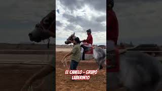 El canelo - grupo laberinto