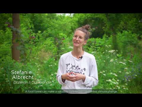 EIN WALDGARTEN FÜR LÜNEBURG