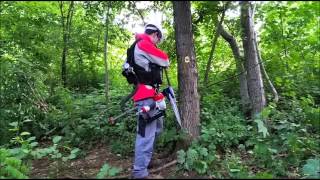 LogRay insertion into tree by pneumatic set