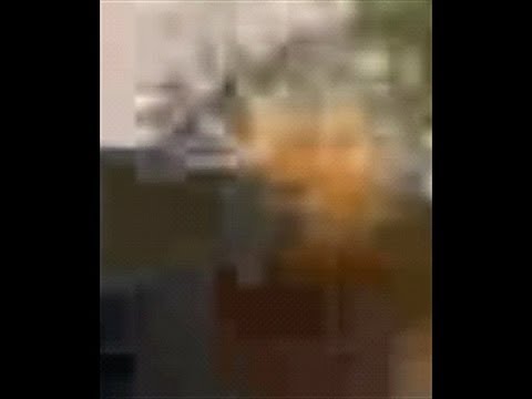 VID 20131106 PROOF POSITIVE 1