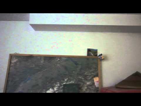 14.8.2010 Der nette Nachbar