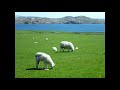 Isle Of Iona Her Timeless Elegance