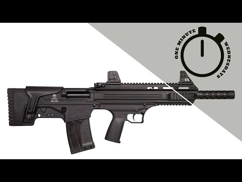 One Minute Wednesdays - American Tactical Bulldog Shotgun