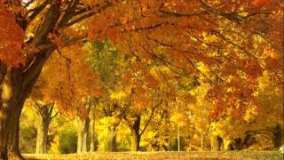 Audrey Assad  Everything is yours